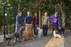 Village weighs a walk in the park for dogs