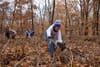Grant boosts rehab of green spaces