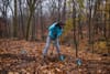 Descendants of ‘survivor’ elms planted in woods